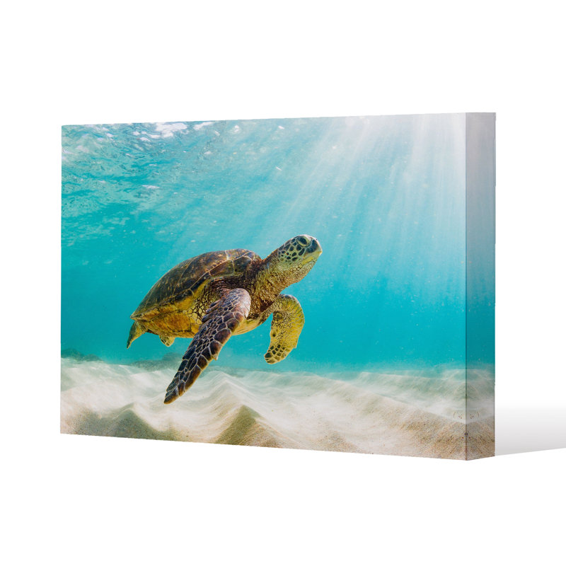No Title by Andrew Lee - Wrapped Canvas Print