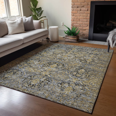 Machine Washable Indoor/Outdoor Chantille ACN2706 Global Rug