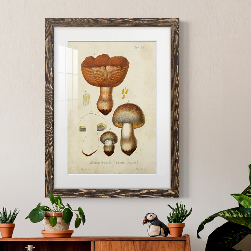 Champignon Variétés I encadré mat - prêt à accrocher, Noyer, H 38 po x l 28 po x P 1 po