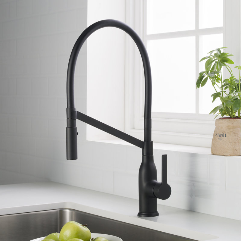 Latitude Run® Murray Kitchen Faucet, Matte Black