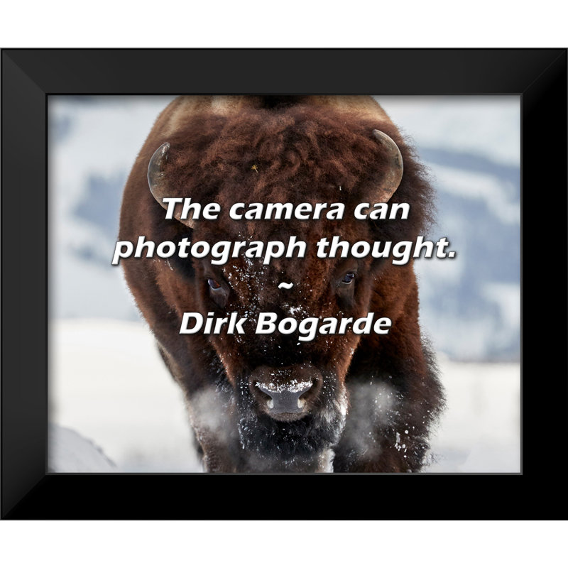 Dirk Bogarde Quote: The camera can photograph thought.