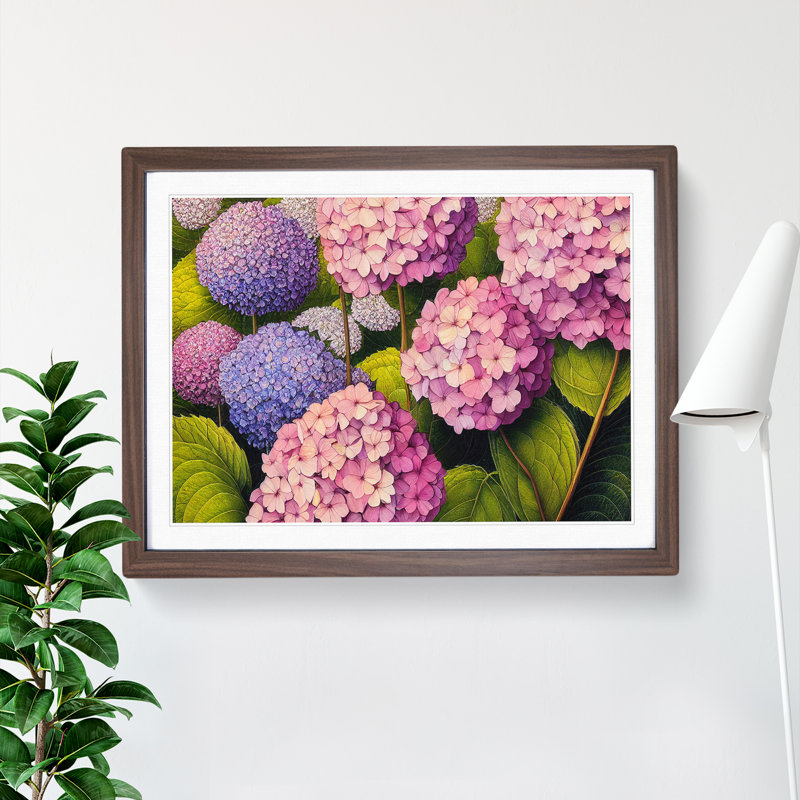 Hydrangea Flower - Single Picture Frame Print, 34cm H x 46cm W x 2cm D, Walnut