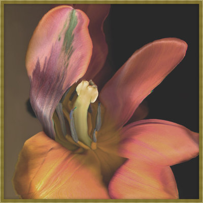 Painting With Tulip 1 Print