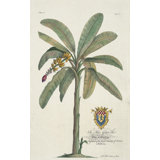 Banana Tree Print by Porter Design