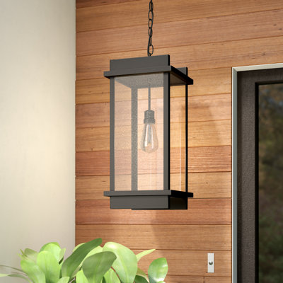 Acuna Outdoor Hanging Lantern