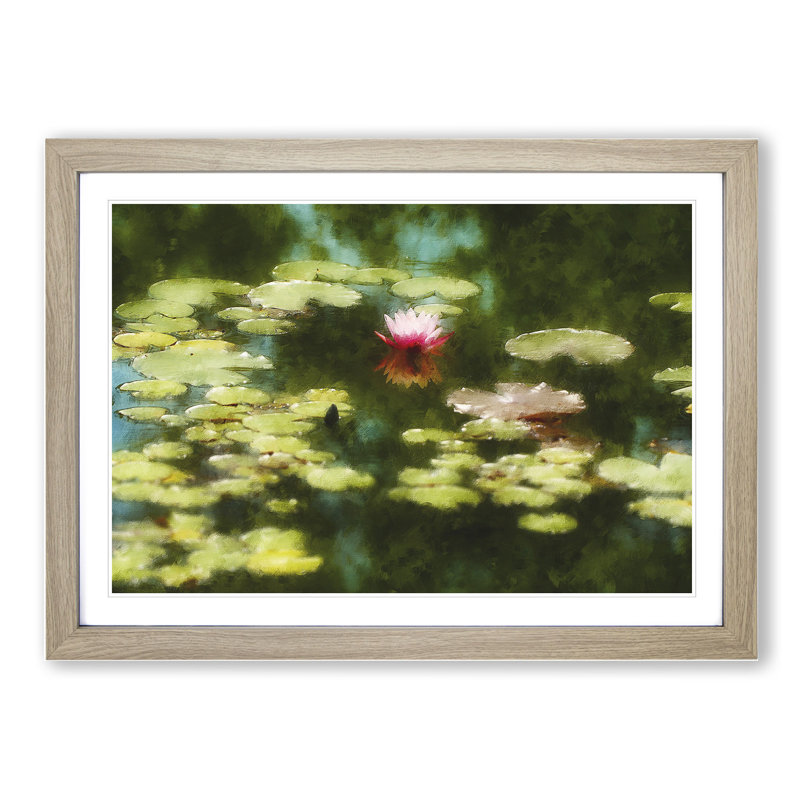 Pink Water Lily Flower Vol.1 - Framed Print, 48cm H x 65cm W x 2cm D, Oak Framed