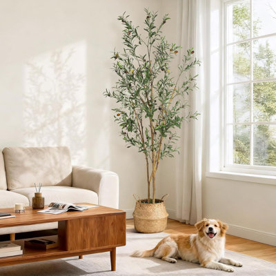 Olive artificielle à l'intérieur, olivier artificiel de 4 pi avec plante noire et fausse mousse verte, plantes artificielles avec tronc en bois naturel et fruits réalistes pour la décoration de bureau personnel