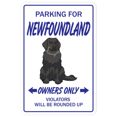 Grande affiche Vet Kennel Groomer