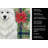 White Samoyed Christmas PoinsettIas Kitchen Towel-2080583718