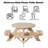 Admeto Wooden Kids Round Picnic Table Bench, Outdoor Children's Backyard Table, Crafting, Dining, and Playtime Patio Table