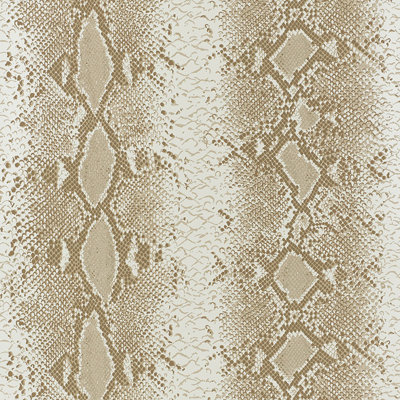 Papier peint charmeur de serpent