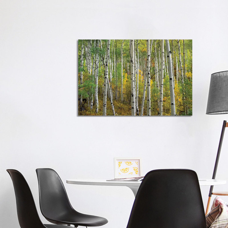 Quaking Aspen in Autumn, Colorado II 1 Piece Wrapped Canvas Wall Art, 101.6 cm H x 66.04 cm W x 1.91 cm D