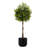 6' Artificial Laurel Tree