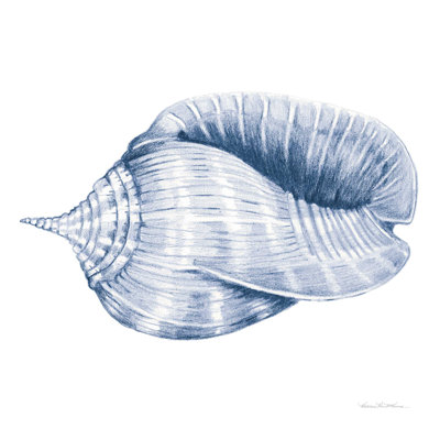 Coquillages II - bleu et blanc