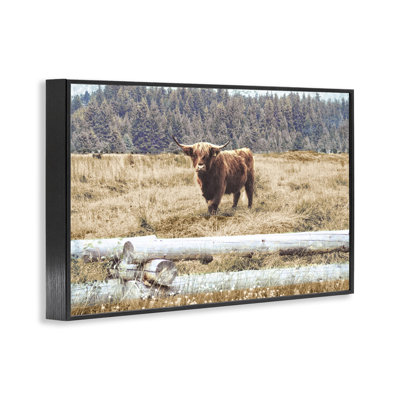 Country Cattle with Fence Framed Giclee Art by Gail Peck