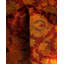 Tapis unique noué à la main Weirsky - Orange