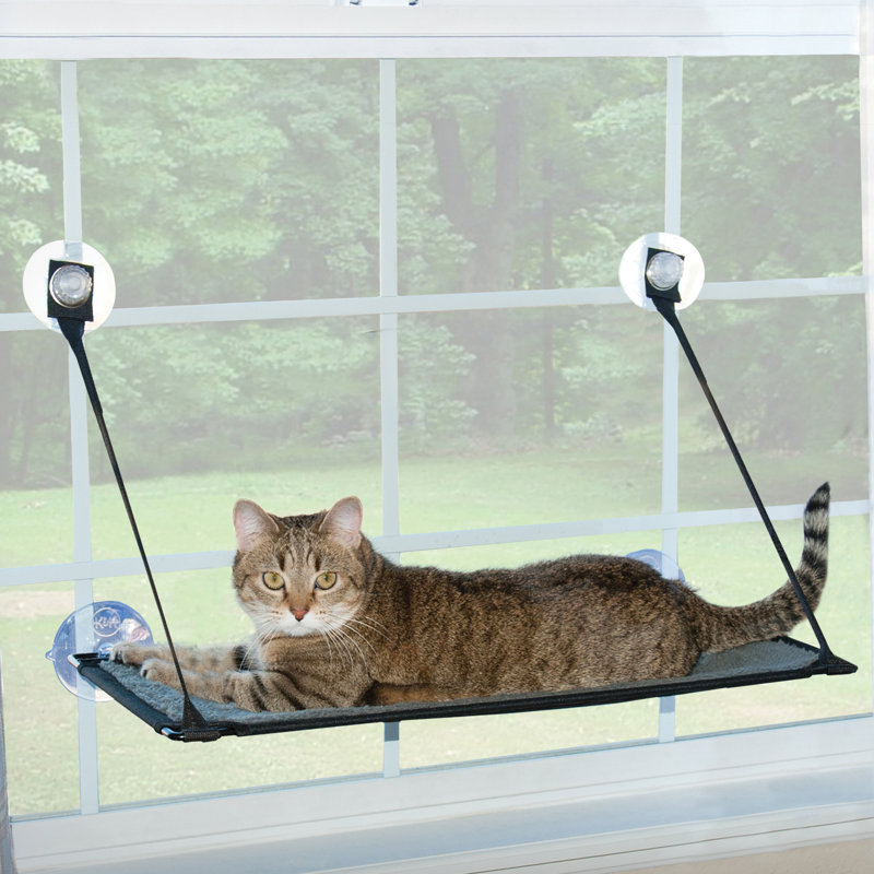 Perchoir pour chat 14 po Heilyn