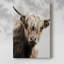 Highland Portrait I -Galerie enveloppée Cavas-1353787276