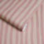 Artist's Stripe Wallpaper-1293730553