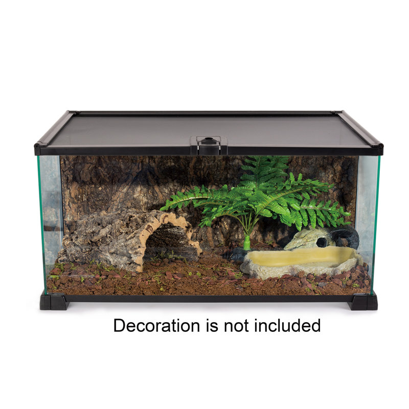20'' x 12'' x 10'' Reptile Terrarium
