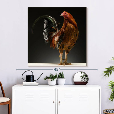Coq Crowle