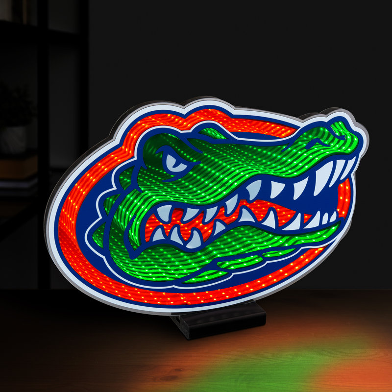 Éclairage à logo 3D Infinity de l'équipe de la Floride avec effet de lumière 3D et affichage en acrylique avec prise UL et support