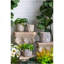 S / 2 pots à sable et ciment gris avec motif floral bleu-1114112238