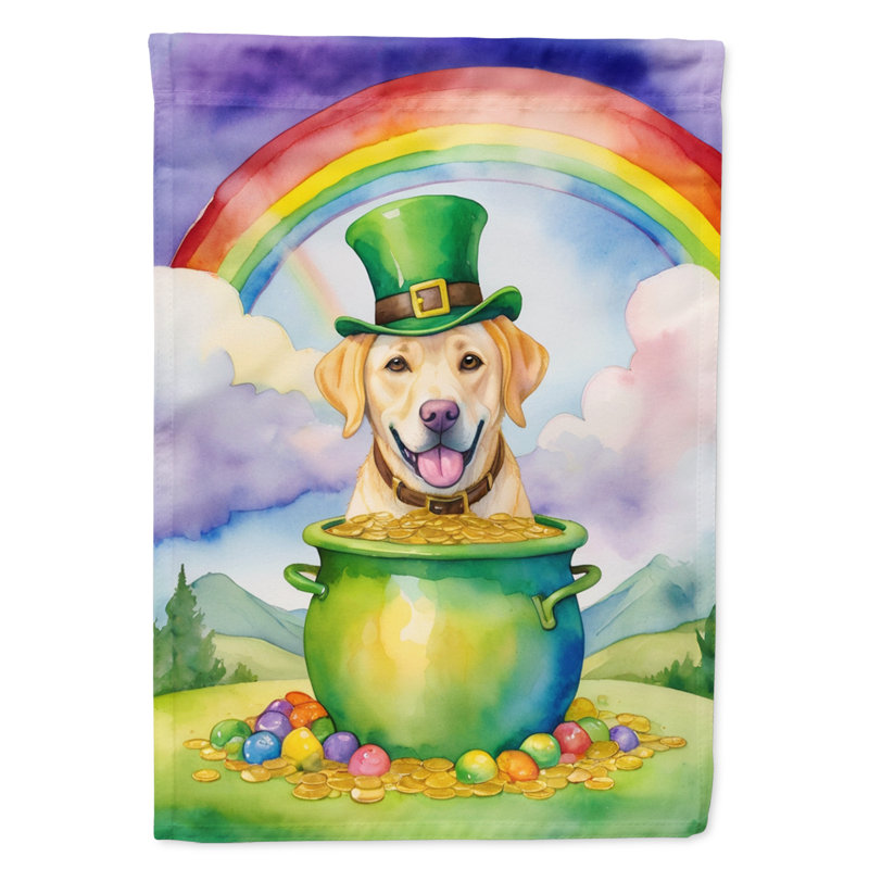 Double Sided 40'' H x 28'' W Polyester St Patrick's Day House Flag