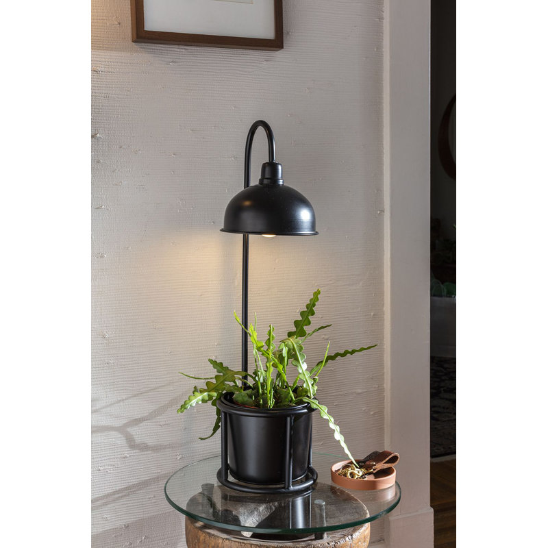 Support pour plante Bredene