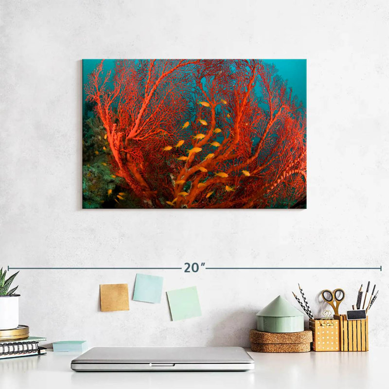 Fire Coral, 8" H x 12" W