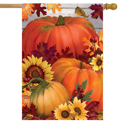 Autumn Pumpkin Trio House Flag 28x40