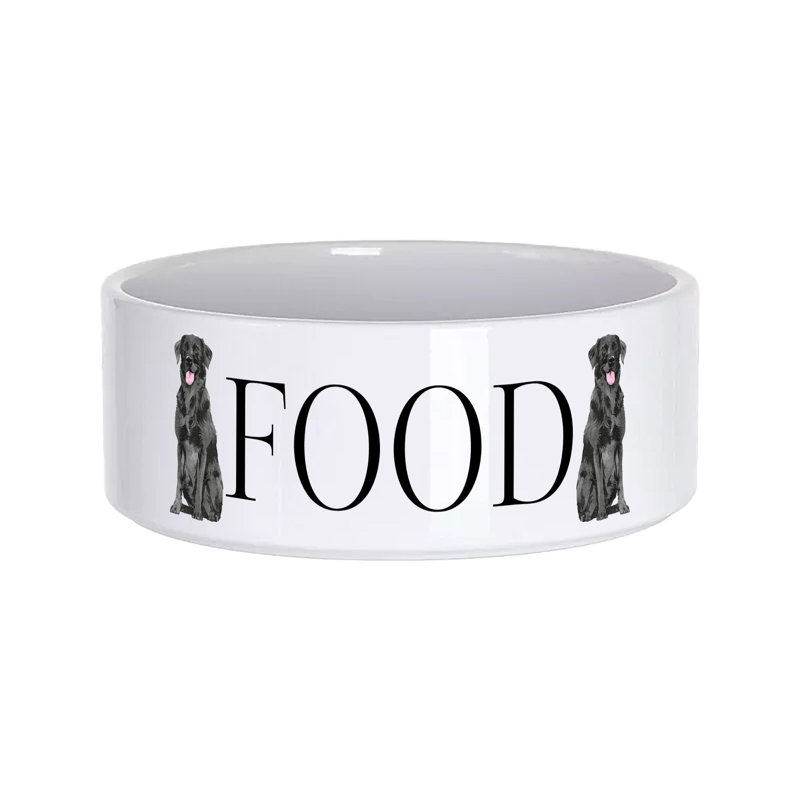 Vivid Squid Wholesale Ceramic / Porcelain Decorative Bowl 1