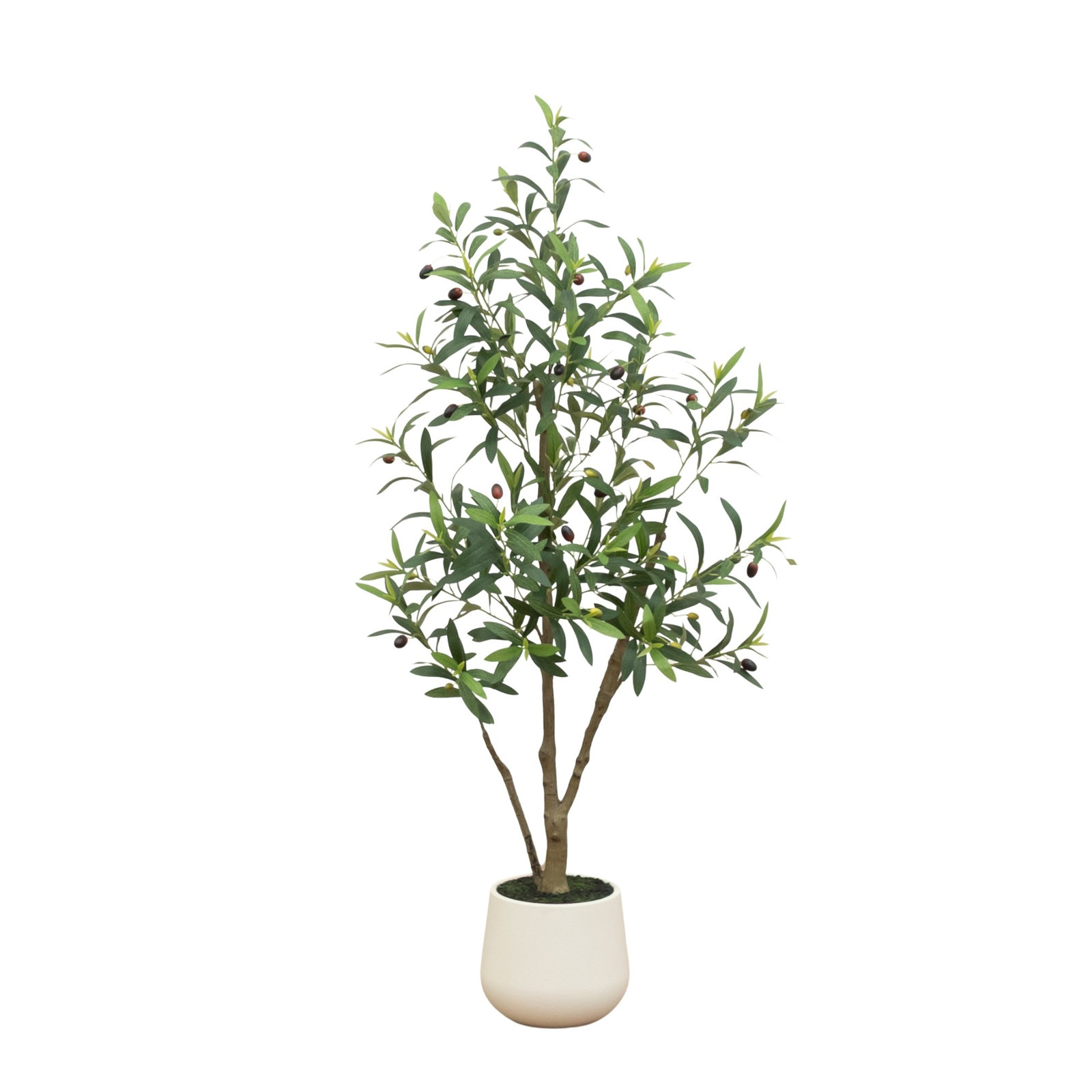 Tree, 4ft