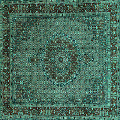 Oriental Indoor Rug