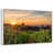 Floating Frame White