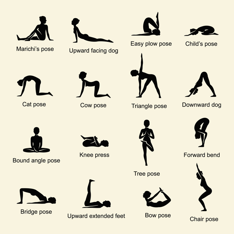 Yoga Positions - Wrapped Canvas Print, 51cm H x 51cm W x 3.8cm D