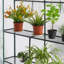 4.5 Ft W x 4.5 Ft D Hobby Greenhouse