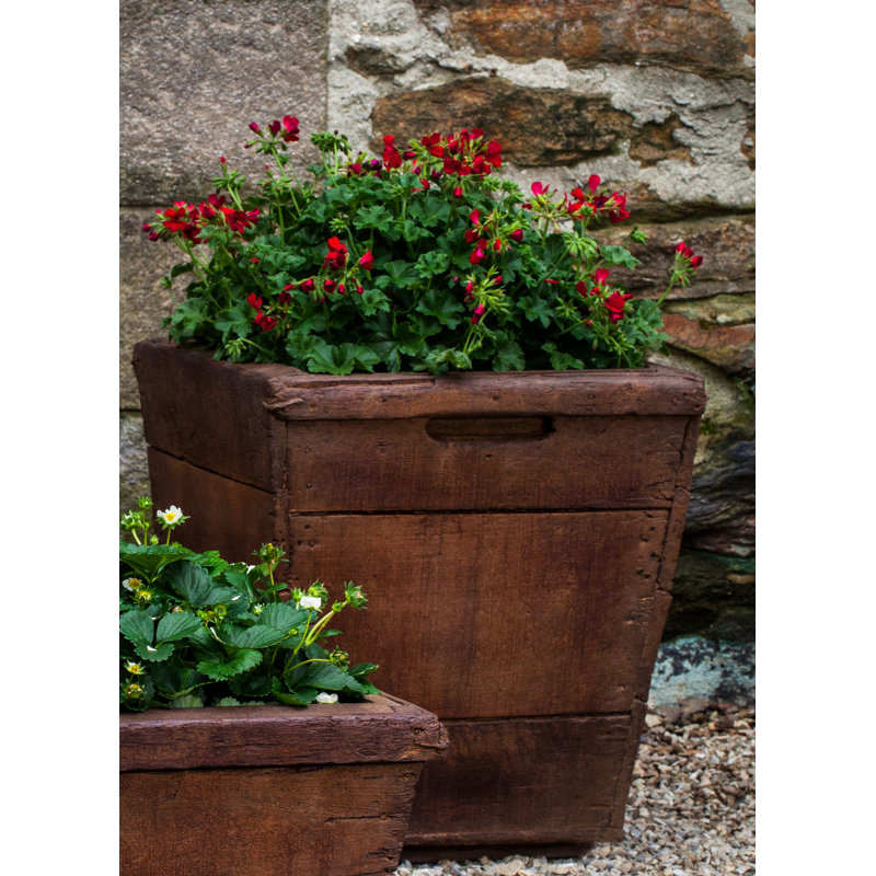 Vendange Planter, Pietra Vecchia