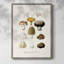 Reproduction encadrée de fruits et légumes IV - bois massif-636212227