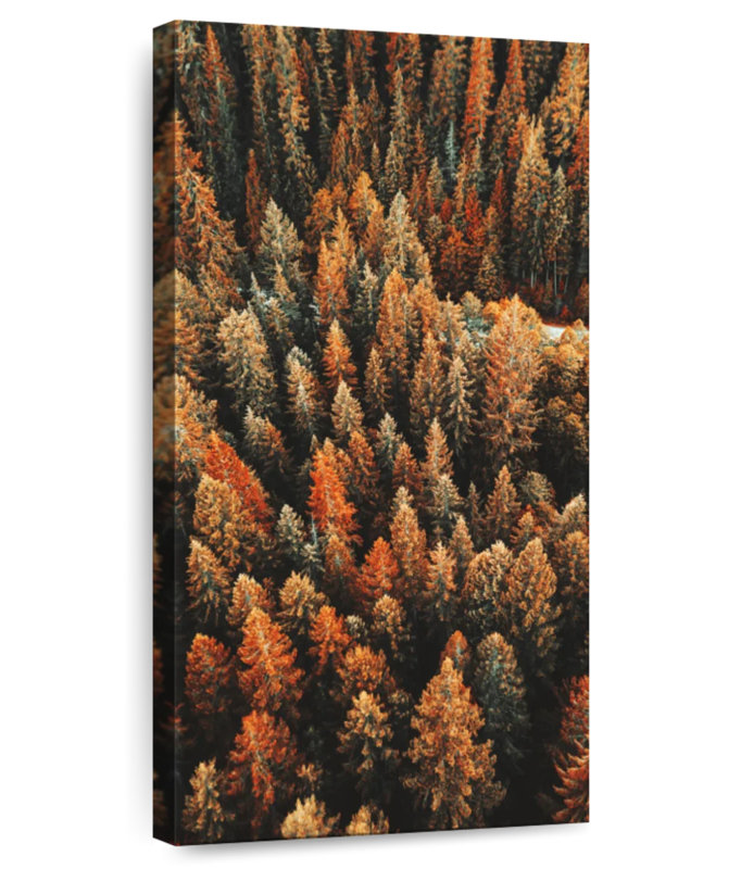 Forêt de pins en automne, H 36 po x l 18 po