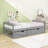 Yolanthe Twin Size Platform Bed with 2 Drawers-415818950