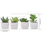 10.5 cm H Faux Succulent Plant in Ceramic Pot
