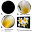 «Dreamscape Plumerias P pureté» sur toile-1433469336-1433469314