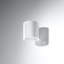 Ymir Up & Downlight-955669497