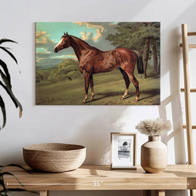 Cheval sauvage rétro