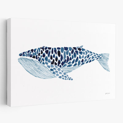 Baleine à bosse nautique et côtière