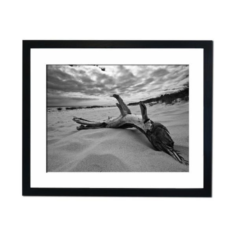 Single Picture Frame Print
