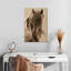 Cheval Brampt Freedom-106970522