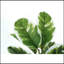 Plante artificielle, 27 po de hauteur, caoutchouc, intérieur, faux, faux, table, verdure, pot, véritable touche décorative, feuilles vertes, pot noir