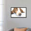 « basset v », impression sur toile-32498920-72121695-72121696